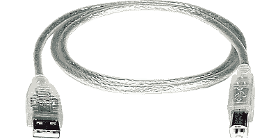 USB A Male-B Male, 1 meter (3.3 feet), Transparent