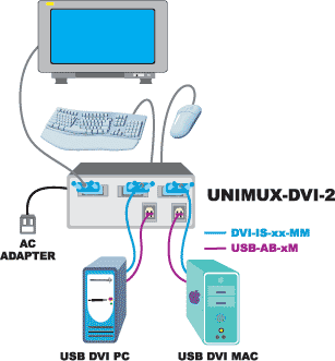 2 Port UNIMUX USB DVI KVM Switch Application Drawing