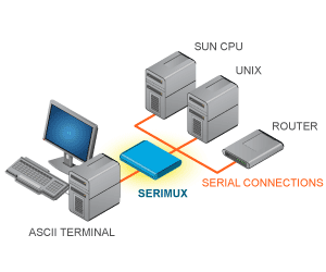 Console Switches